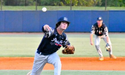 Fort Mill Post 43 makes it to championship Thursday